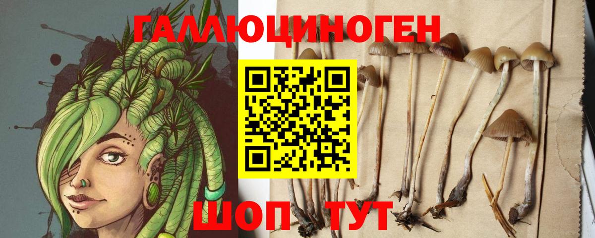 Шелехов  Галлюциногенные грибы MAGIC MUSHROOMS  Псилоцибиновые грибы MAGIC MUSHROOMS  Вход с VPN 